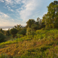 High Banks Preserve