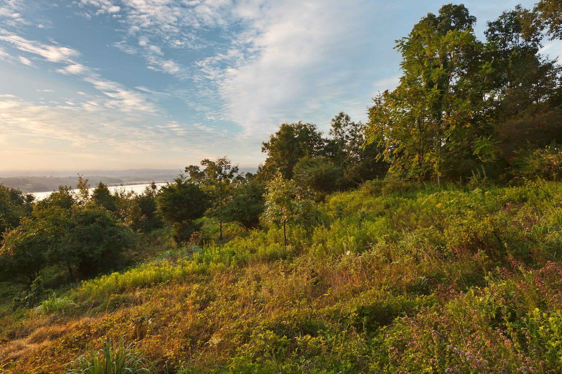 High Banks Preserve