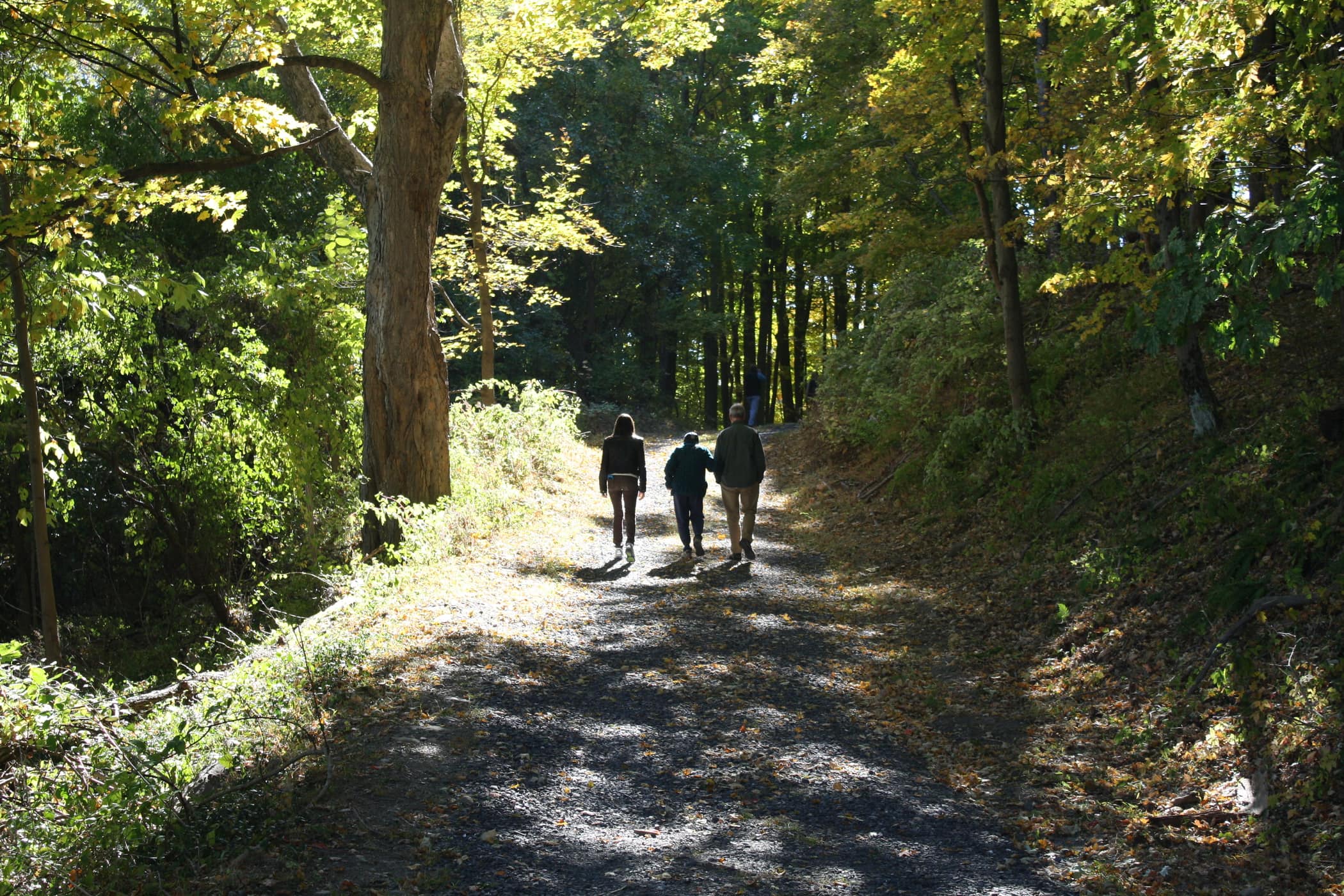 High Banks Preserve|High Banks Preserve Trail Map|High Banks Preserve|High Banks Preserve|High Banks Preserve