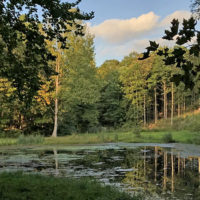 Locust Grove