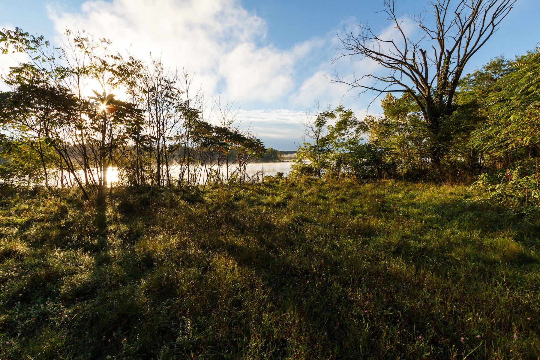 Scenic Hudson's Long View Park