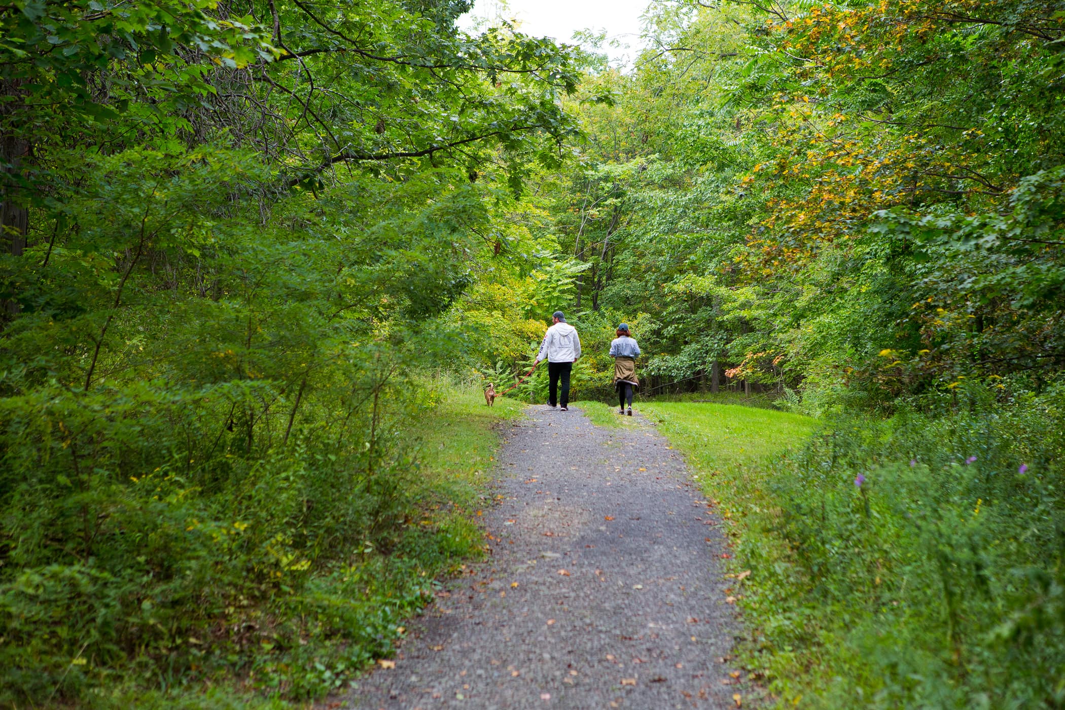 Falling Waters Preserve