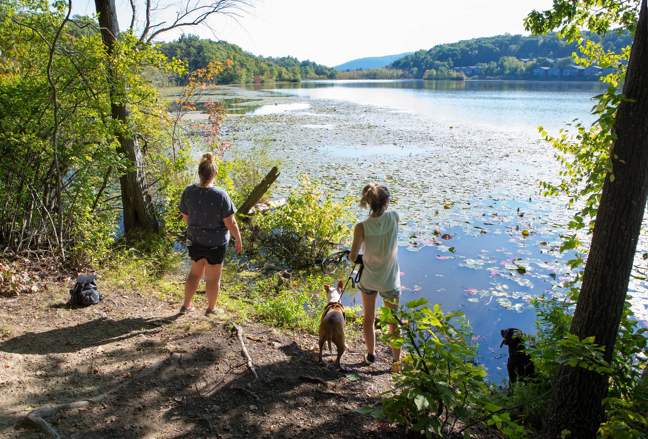 High Banks Preserve