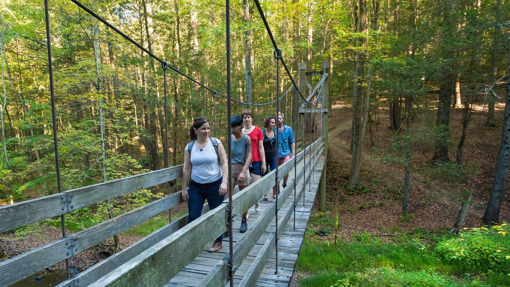 Suspension Bridge at Black Creek