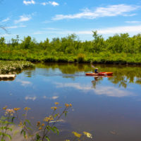 RamsHorn-Livingston Sanctuary