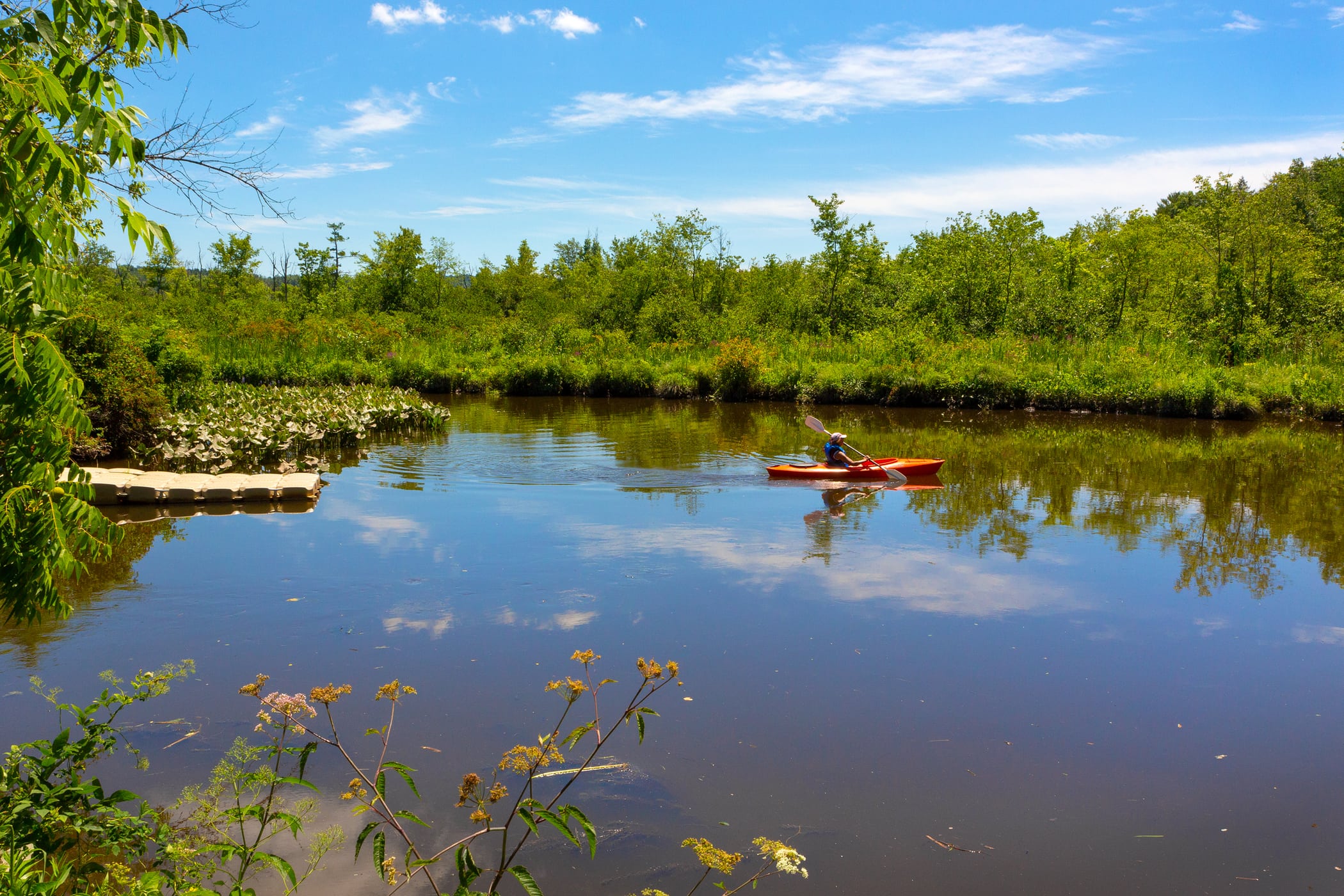 RamsHorn-Livingston Sanctuary