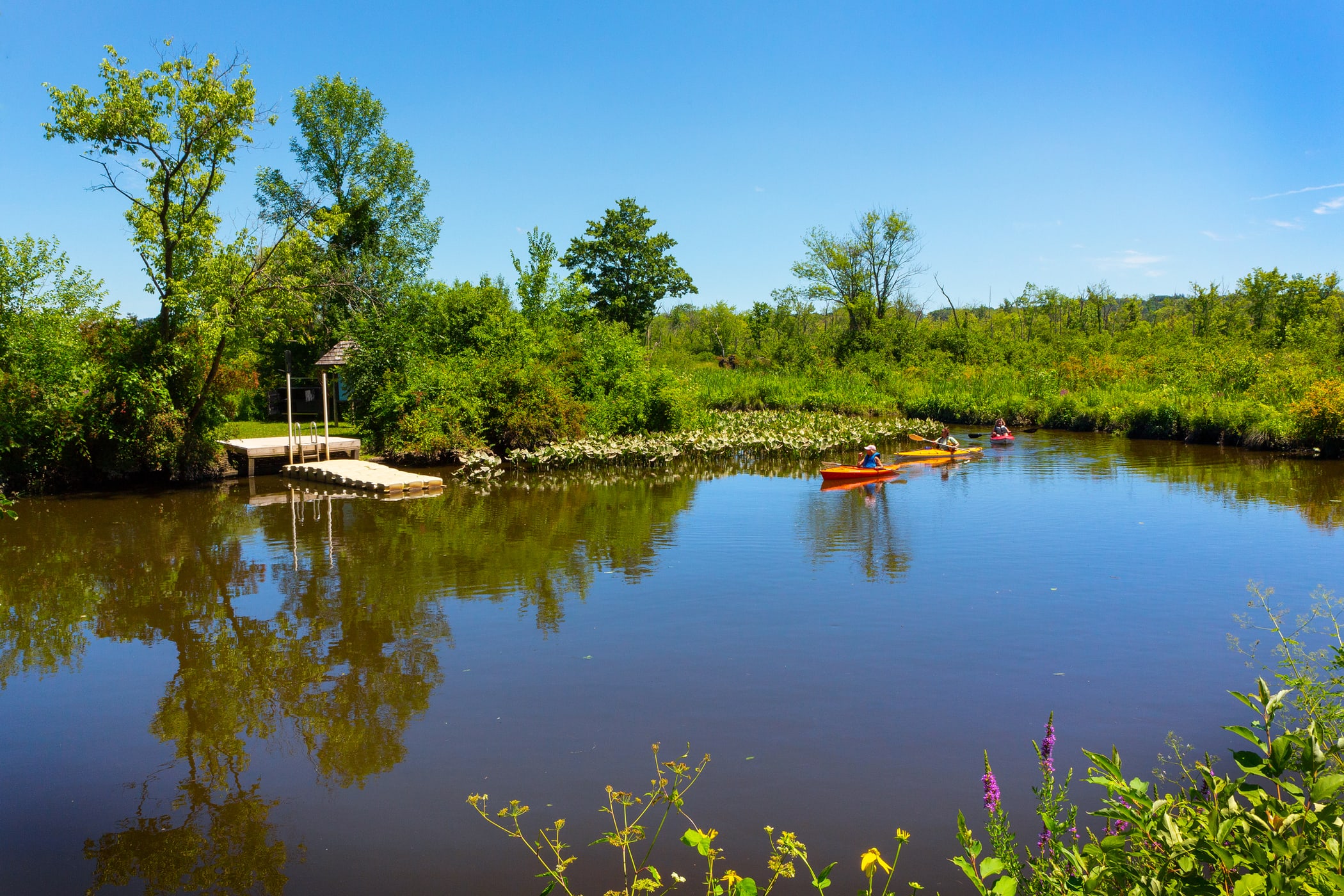 RamsHorn-Livingston Sanctuary