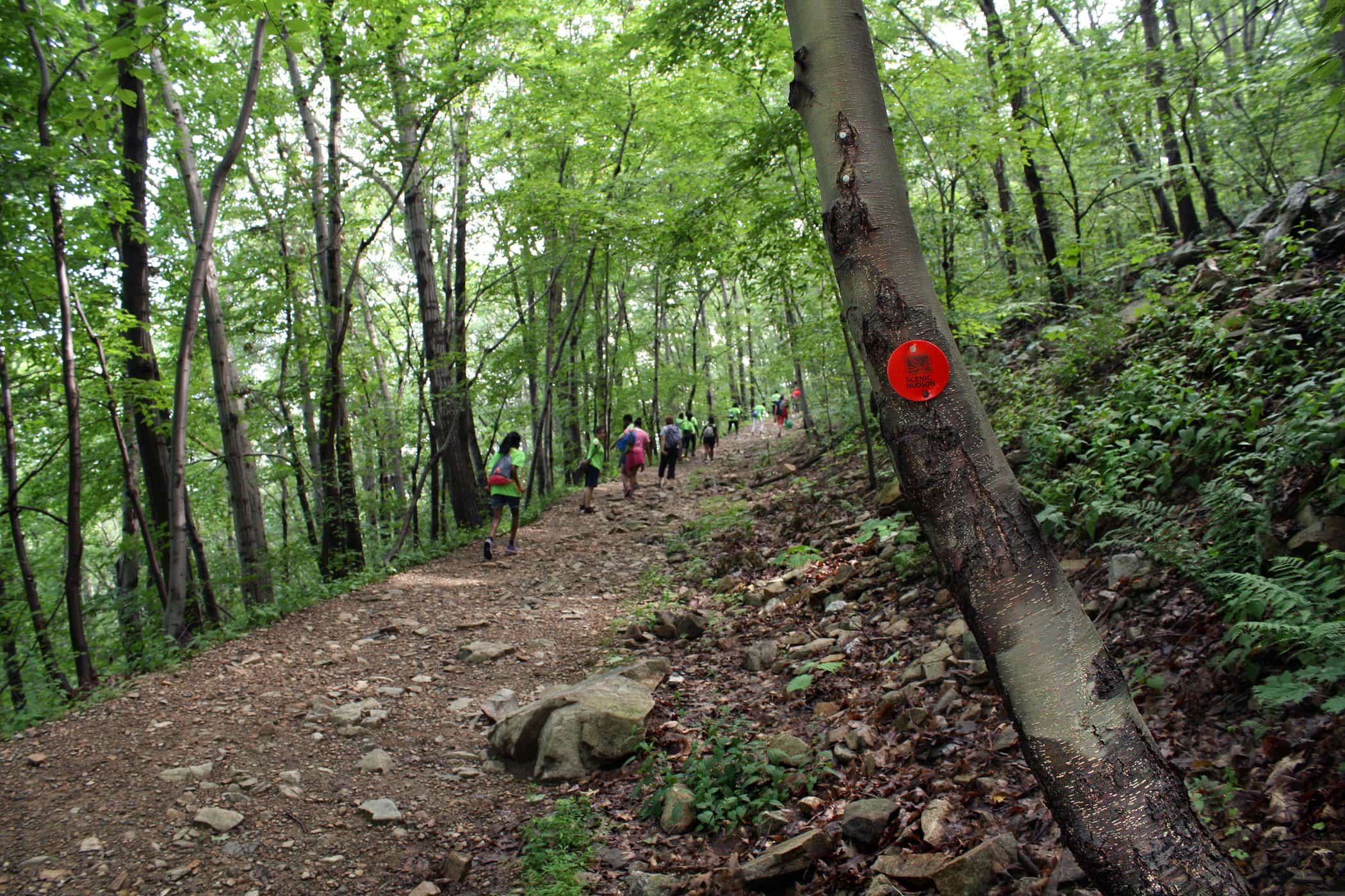 Mount Beacon Park