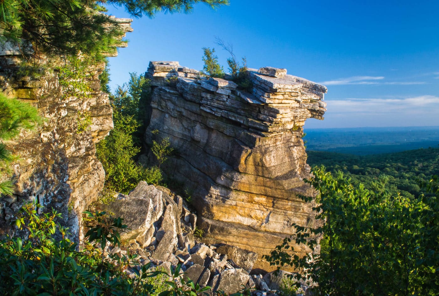 Bear Hill Preserve