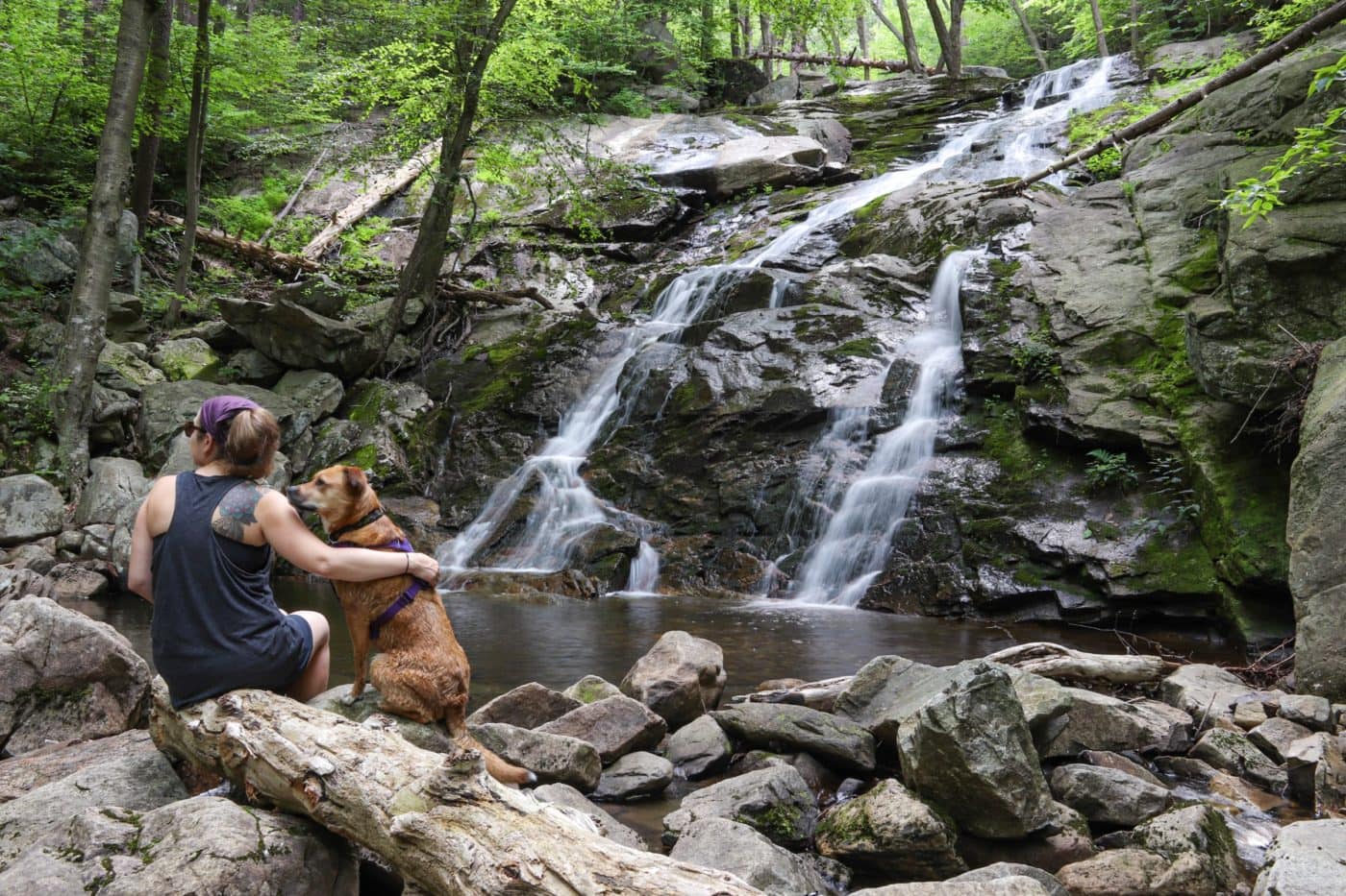 Black Rock Forest