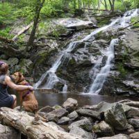 Black Rock Forest
