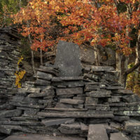 Dibbles Quarry