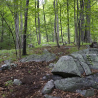 Doris Duke Trail
