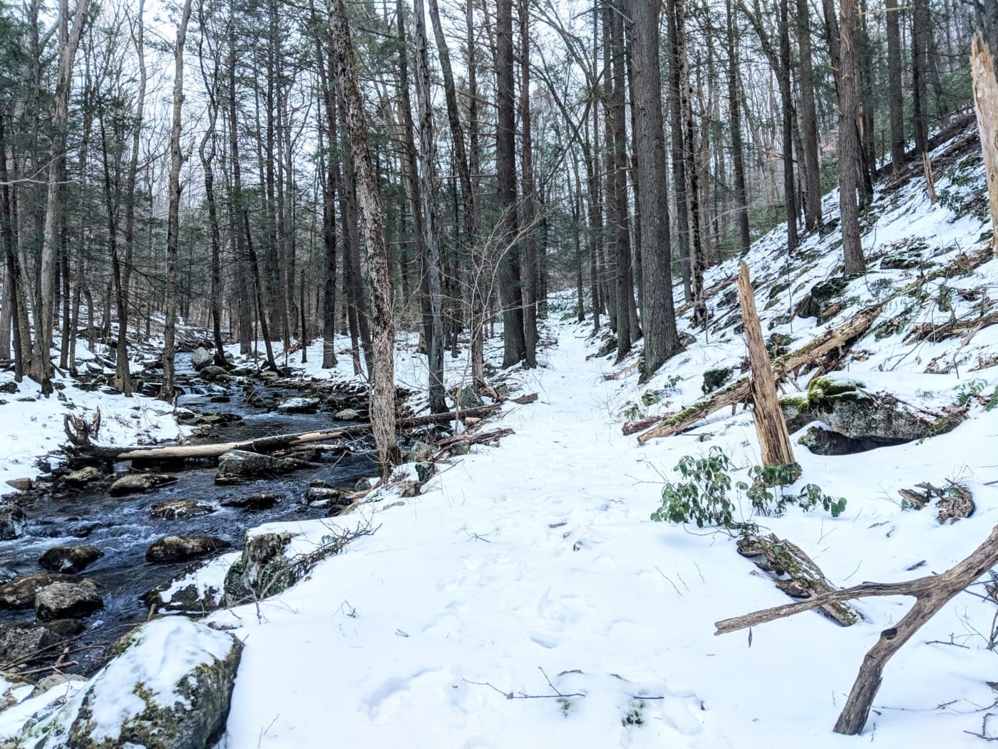 Fahnestock State Park