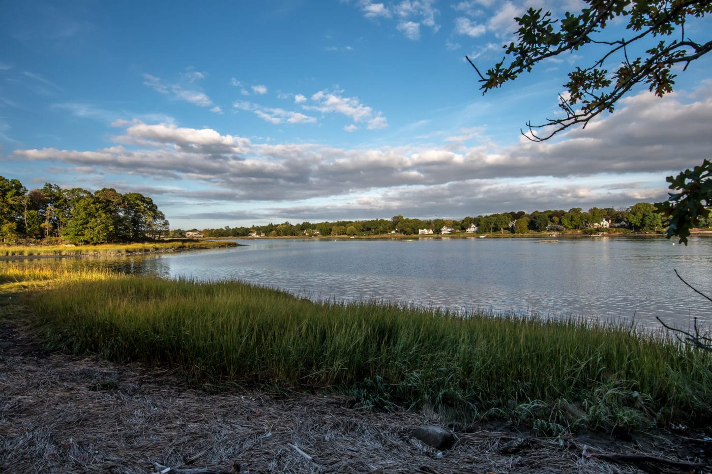 Marshland Conservancy