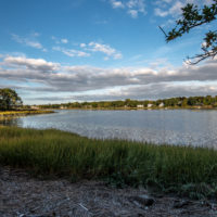 Marshland Conservancy