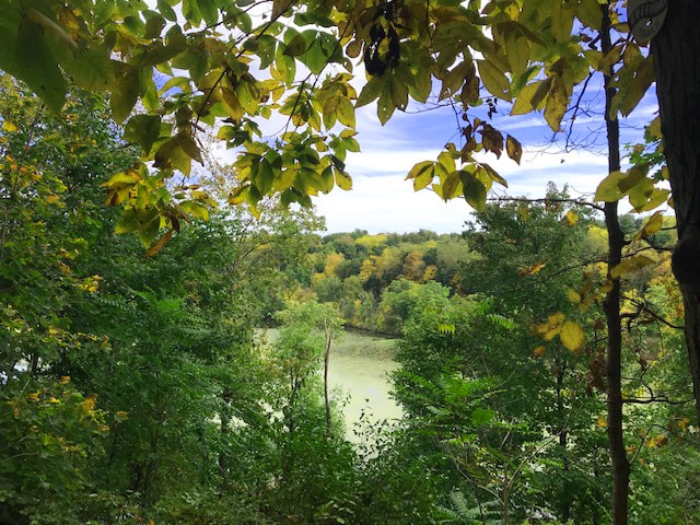 Reese Audubon Sanctuary