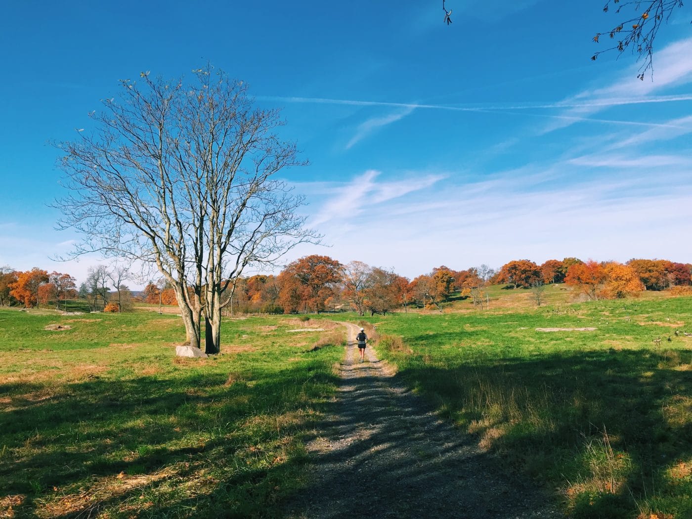 Rockefeller State Park Preserve