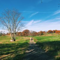 Rockefeller State Park Preserve