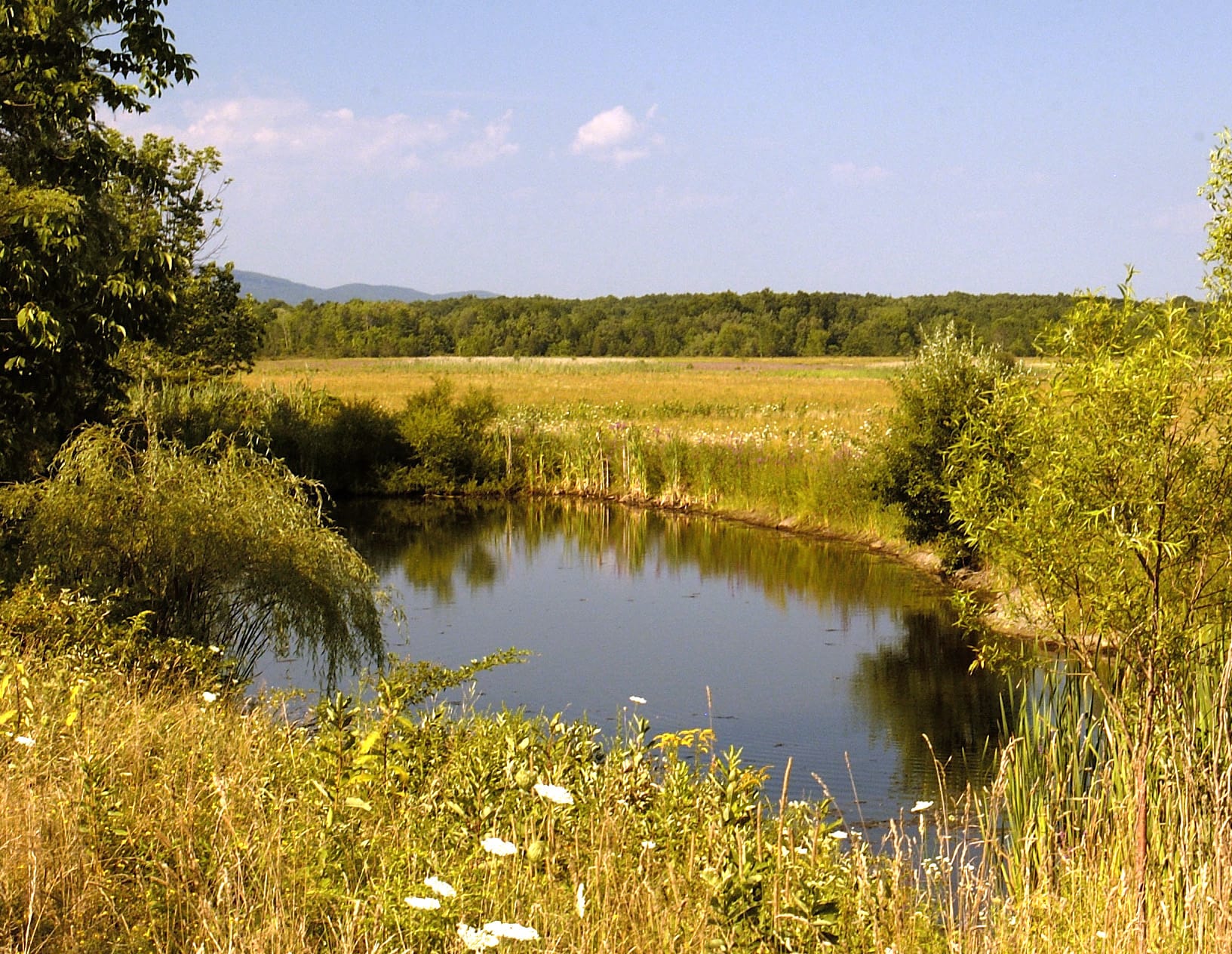 Shawagunk Grasslands National Wildlife Refuge Scenic Hudson