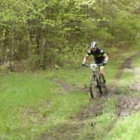 Stewart State Forest