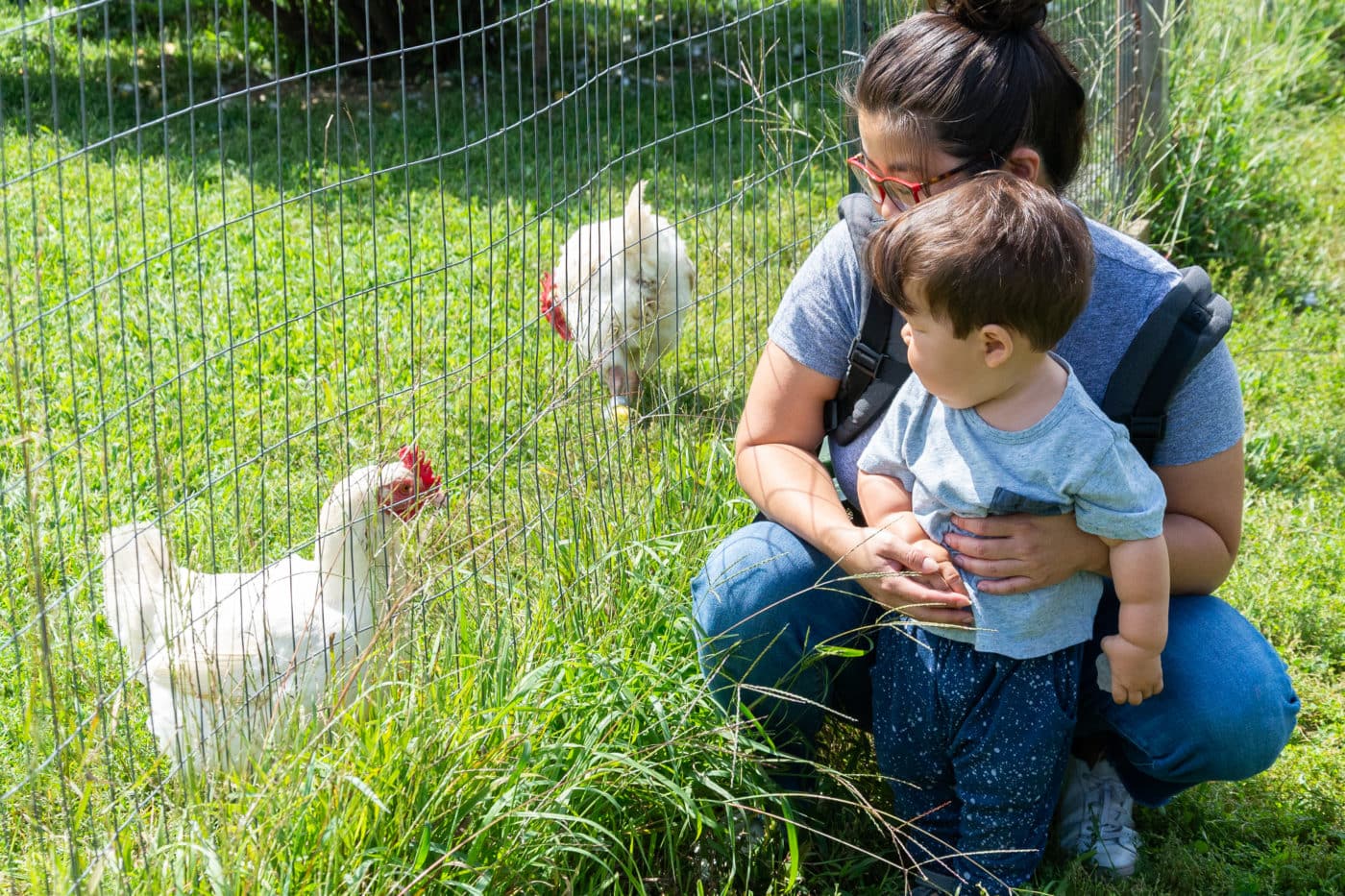 Woodstock Farm Sanctuary