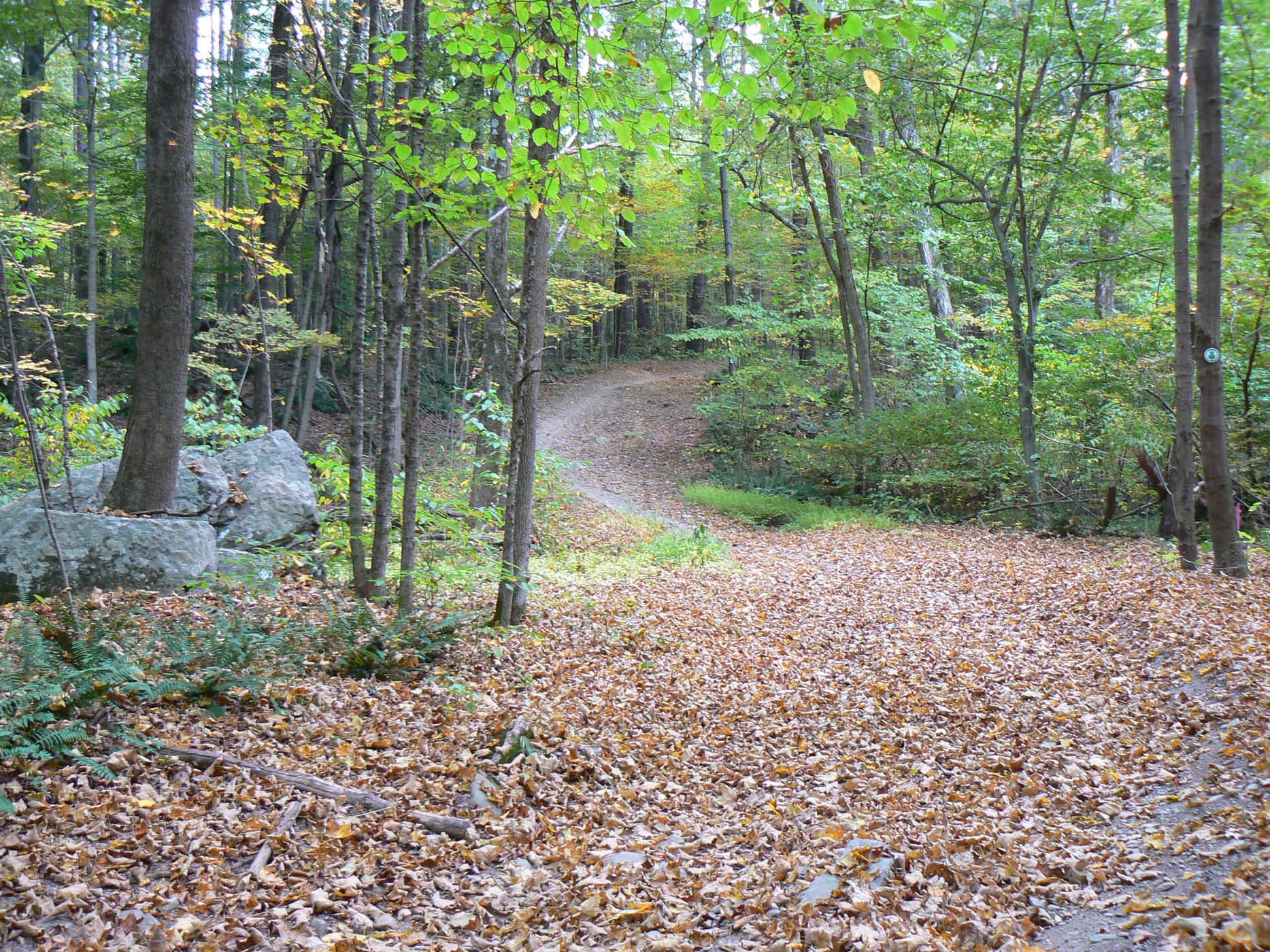 Hyde Park Trail Overlook