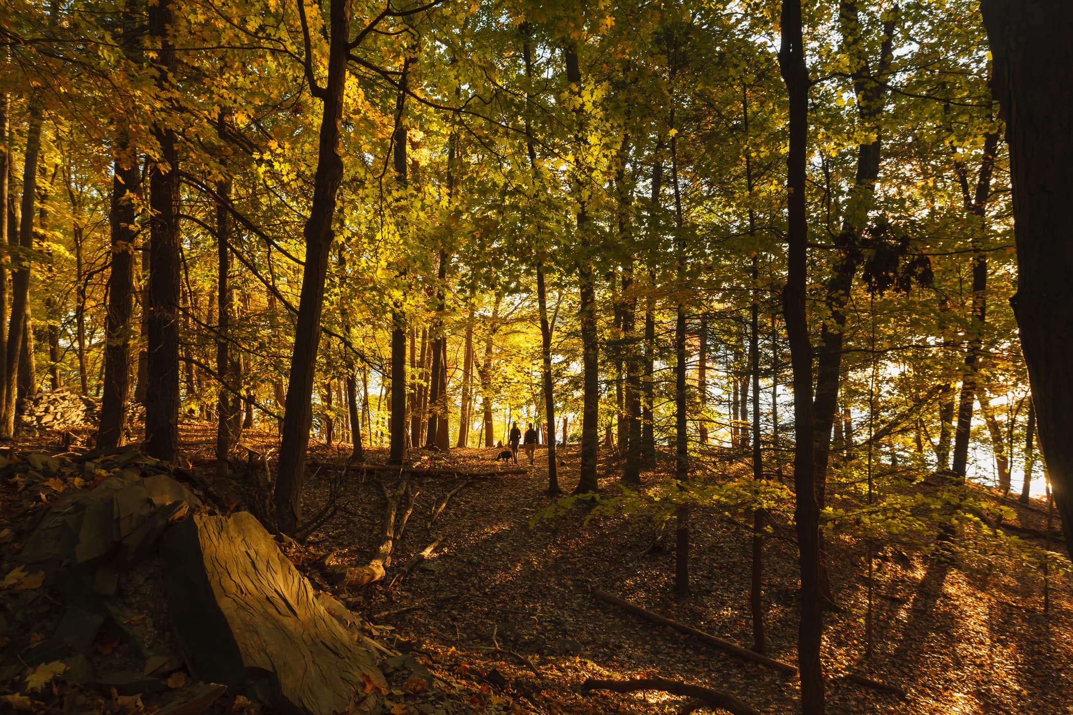 Black Creek Preserve (Photo: Robert Rodriguez, Jr.)