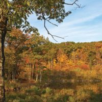 Illinois Mountain