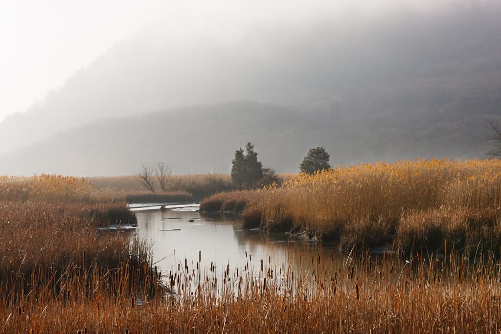 Iona Marsh (Photo: Robert Rodriguez, Jr.)