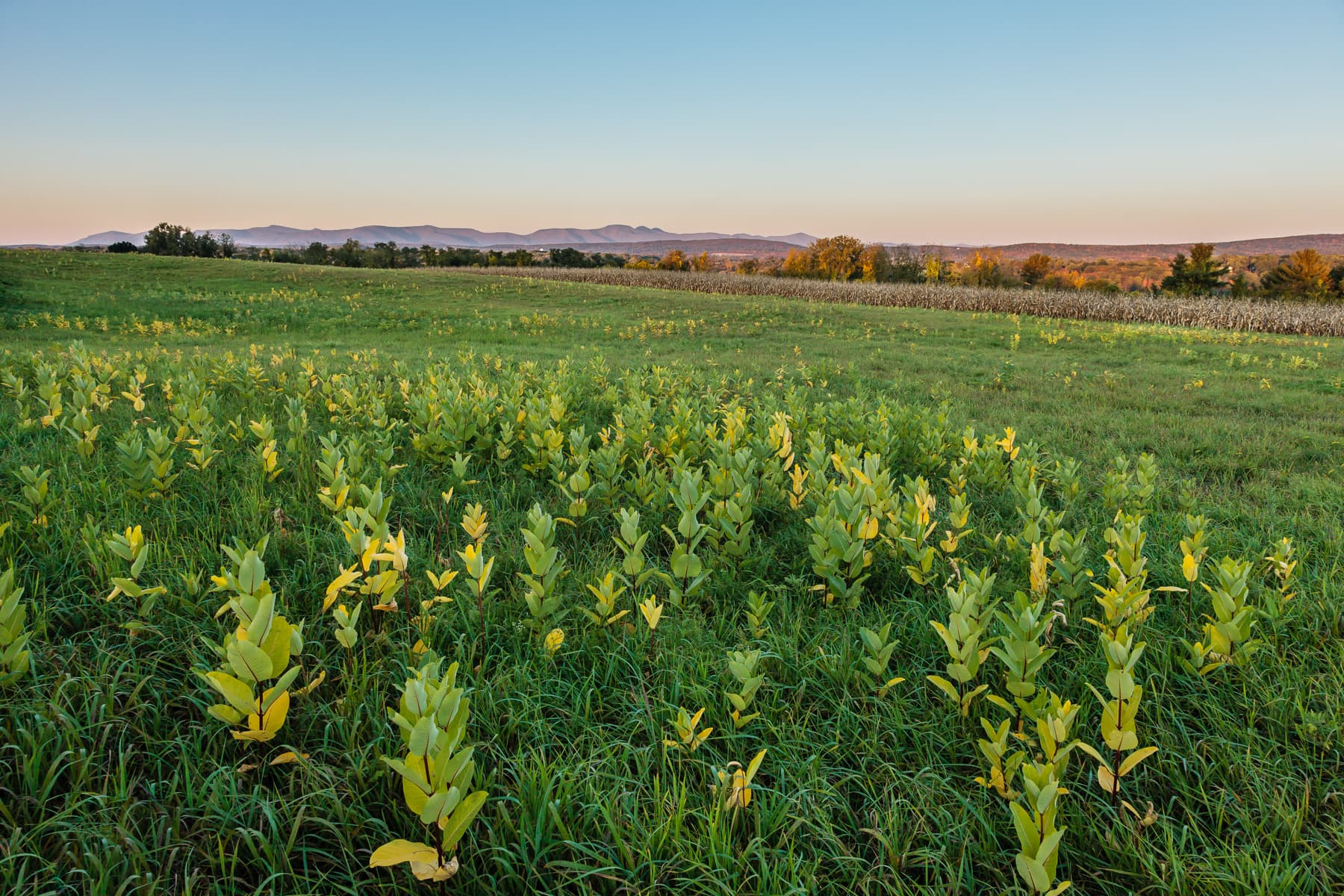 Hudson Valley farmland (Photo: Robert Rodriguez, Jr.)