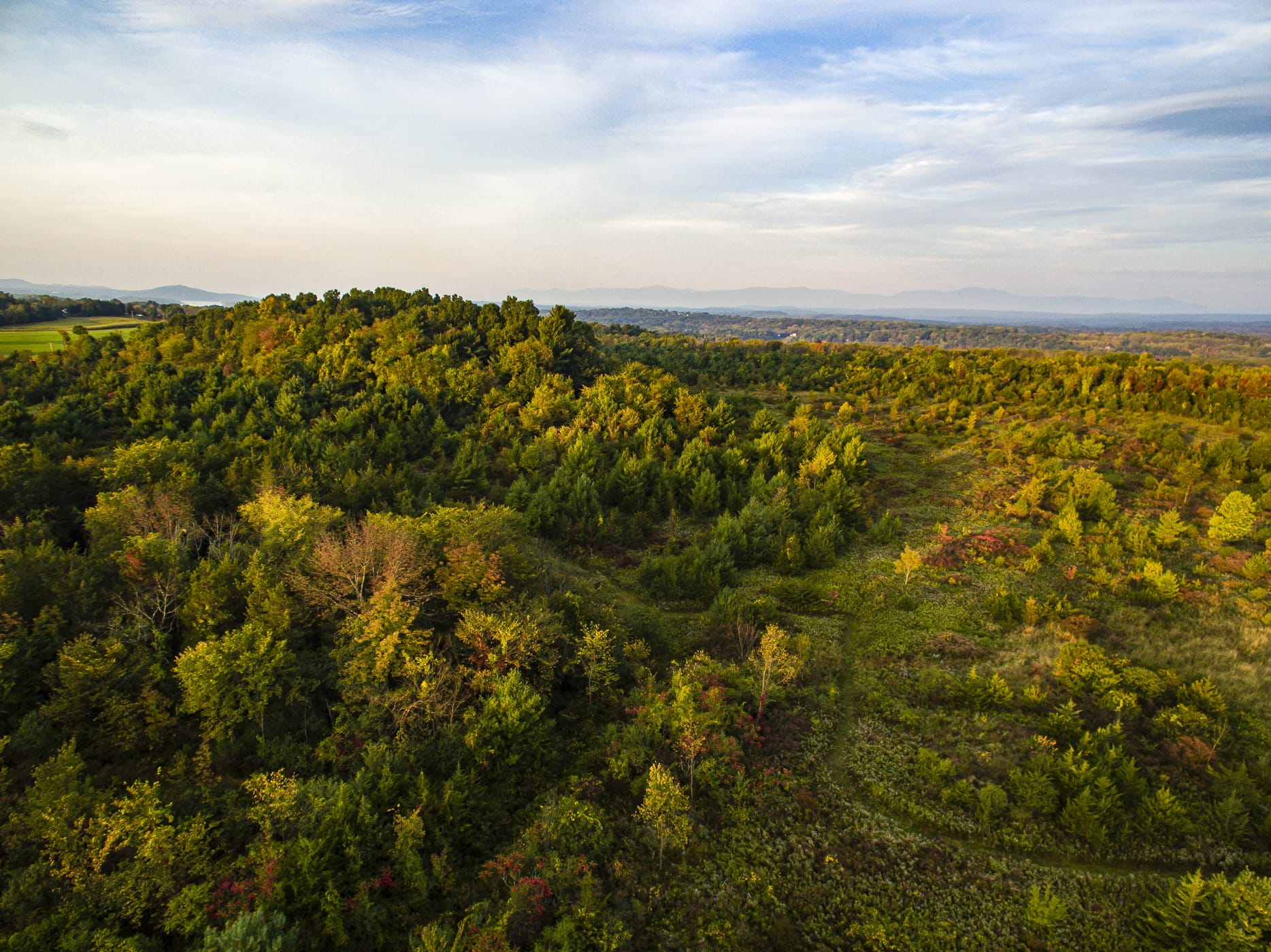 Charles Flood Wildlife Management Area