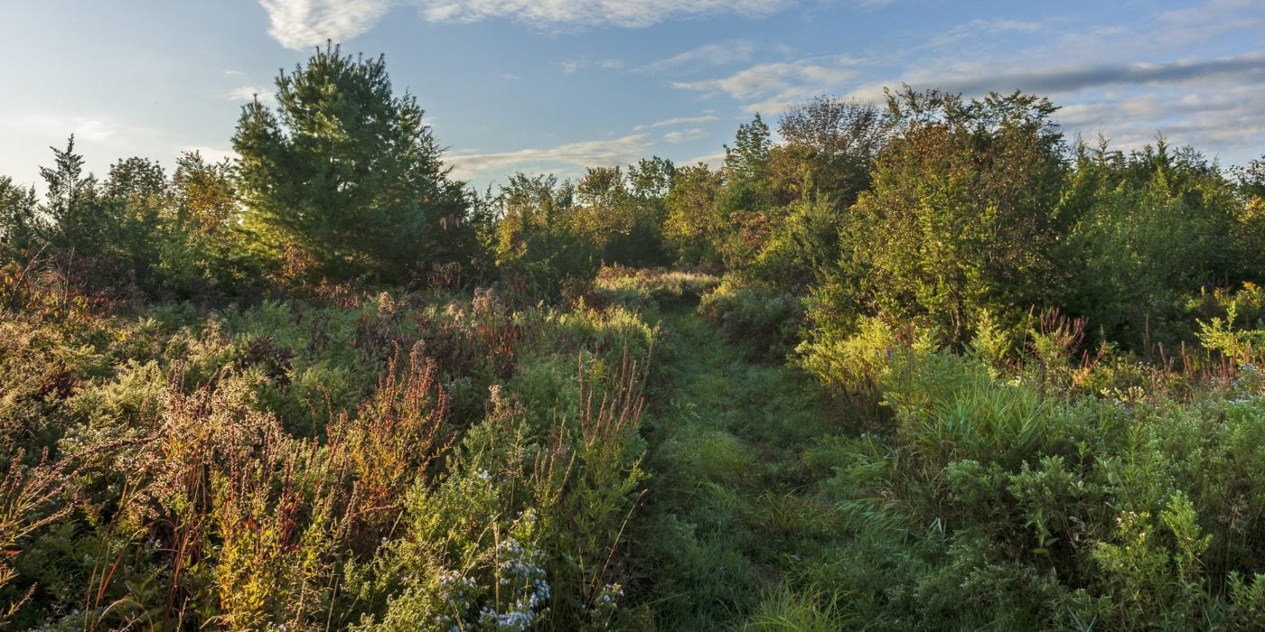 Charles Flood Wildlife Management Area