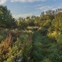 Charles Flood Wildlife Management Area