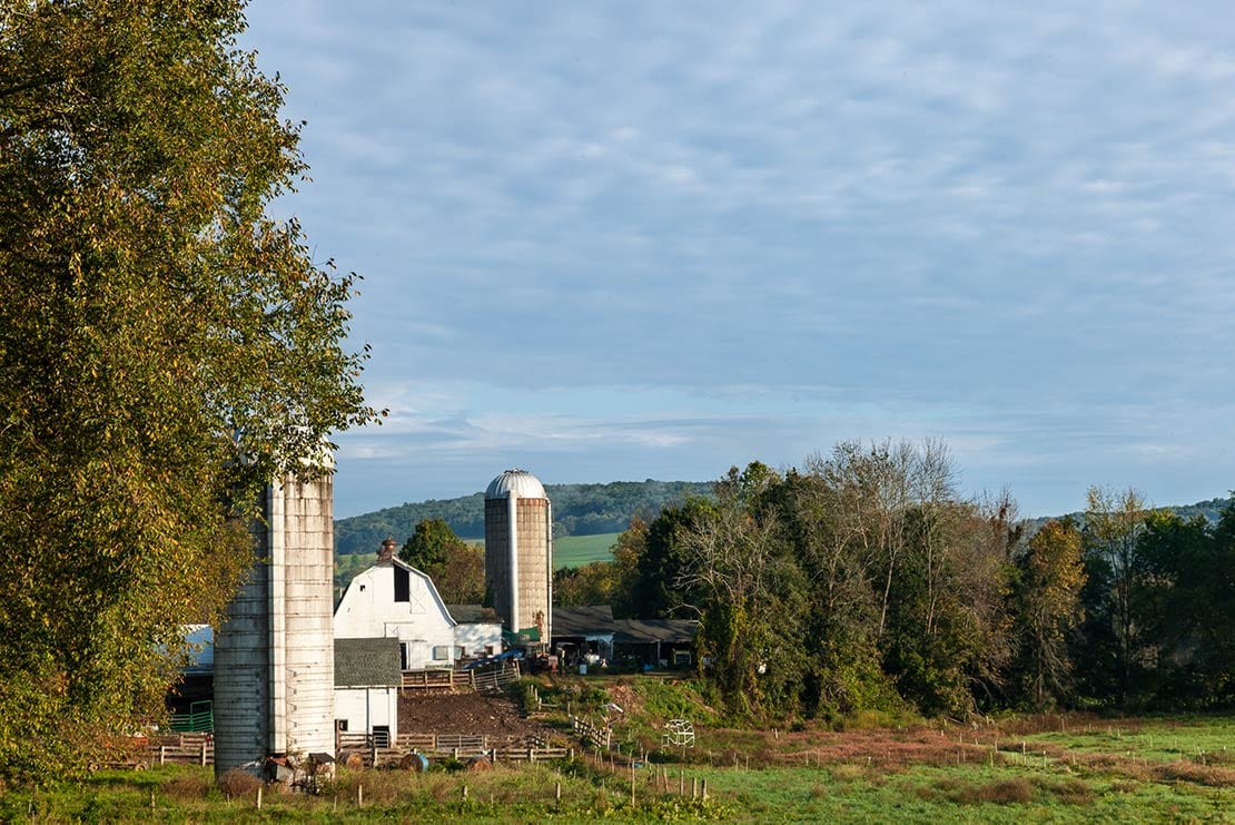 Chaseholm Farm