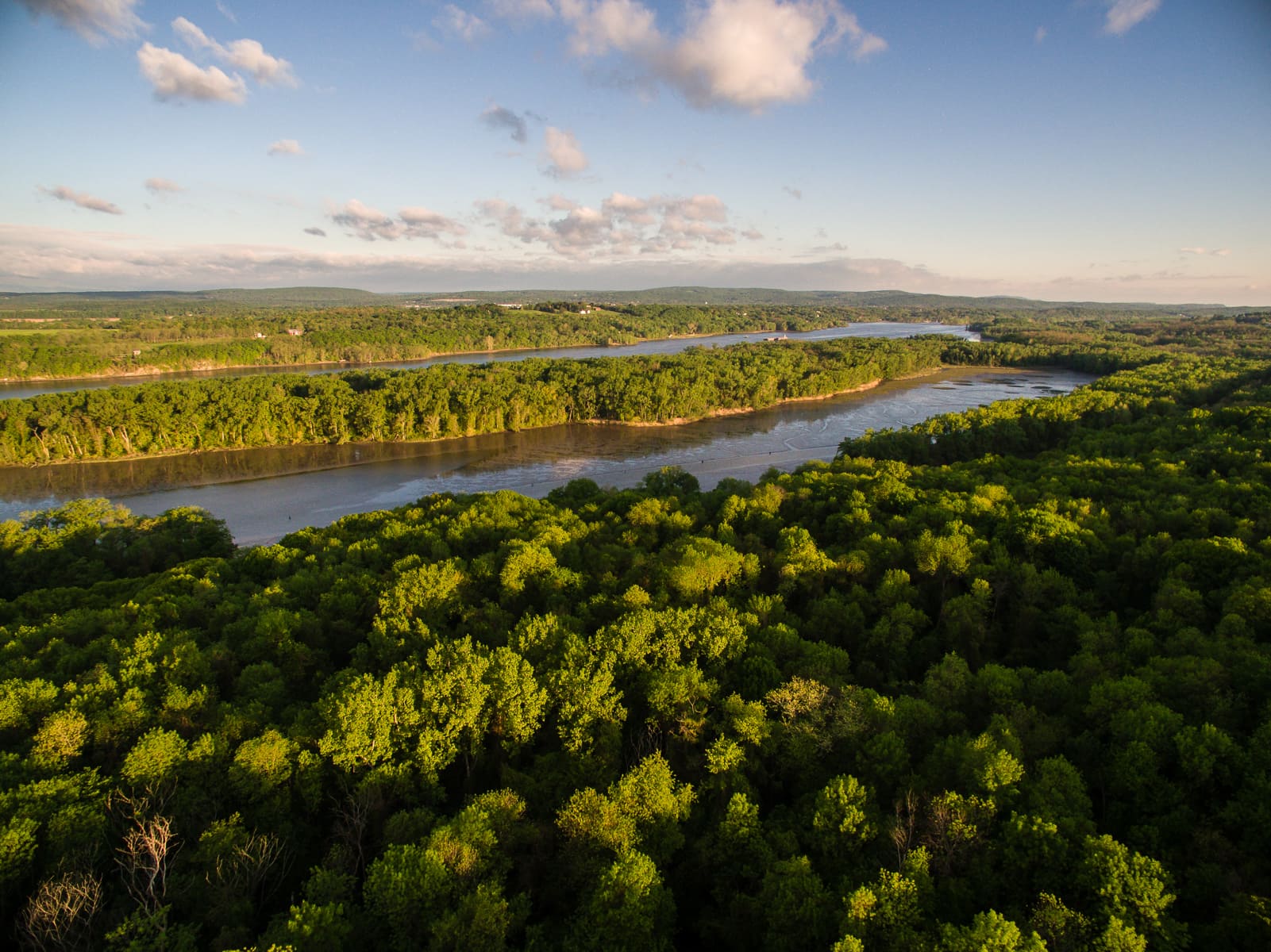 Charles Flood Wildlife Management Area at the Empire Brickyard