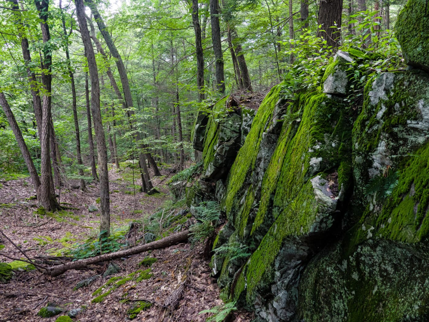 John Burroughs Trail