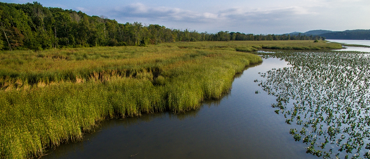 RamsHorn-Livingston Sanctuary|RamsHorn-Livingston Sanctuary|RamsHorn-Livingston Sanctuary|RamsHorn-Livingston Sanctuary|RamsHorn-Livingston Sanctuary|RamsHorn-Livingston Sanctuary|RamsHorn-Livingston Sactuary Trail Map