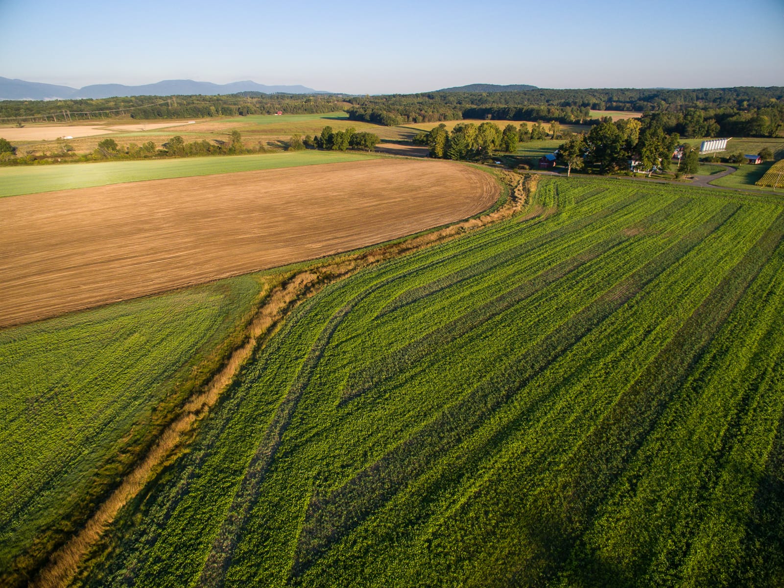 Farmland (Photo: Robert Rodriguez, Jr.)