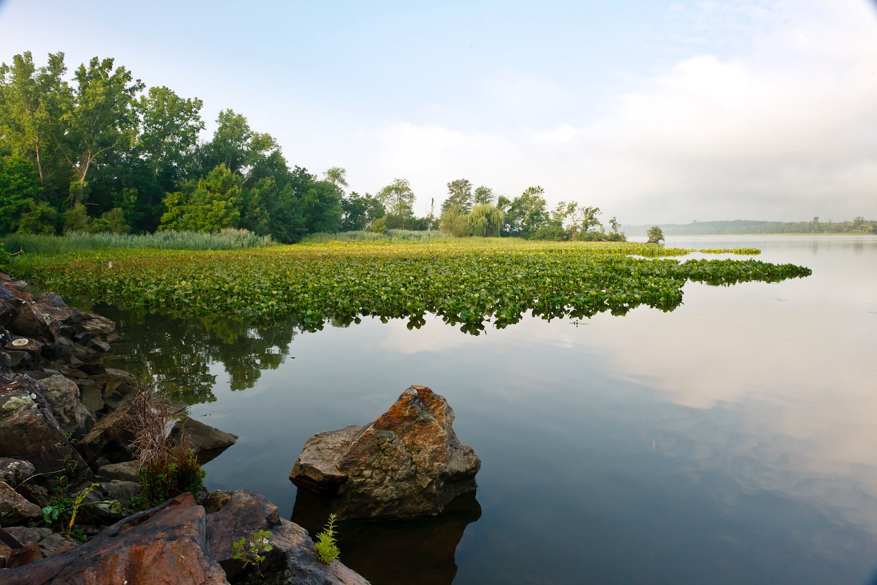 Tidal wetlands (Photo: Robert Rodriguez, Jr.)