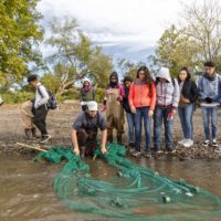 Teens seining for river creatures.
