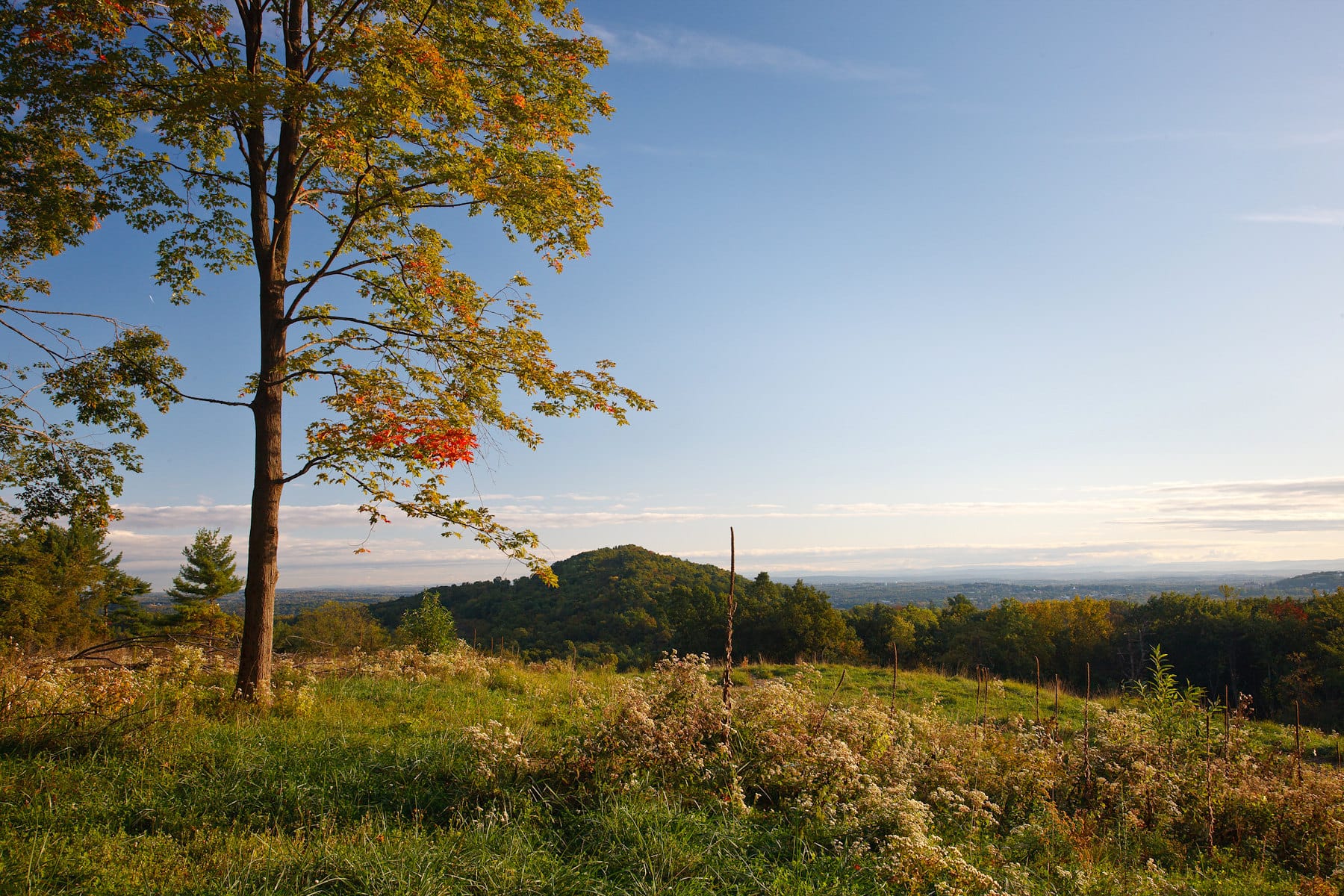 Olana Viewshed