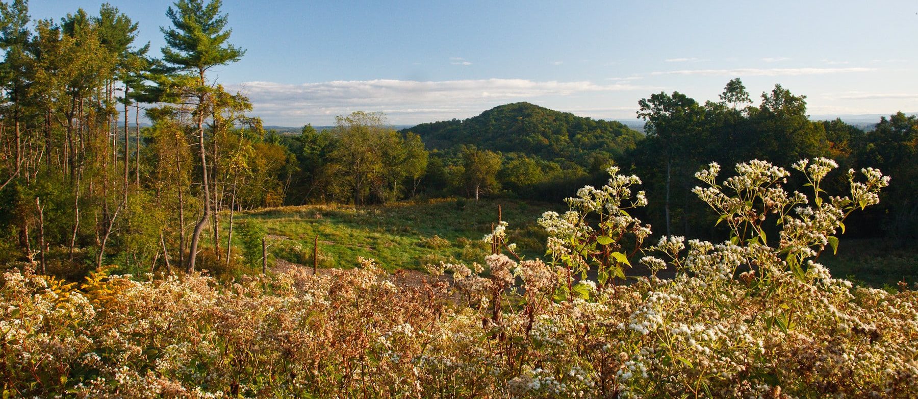 Olana Viewshed