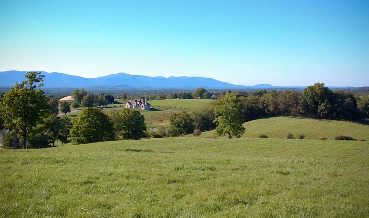 Burger Hill Vista view