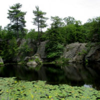 Burroughs Sanctuary