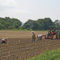 Copake Agricultural Center