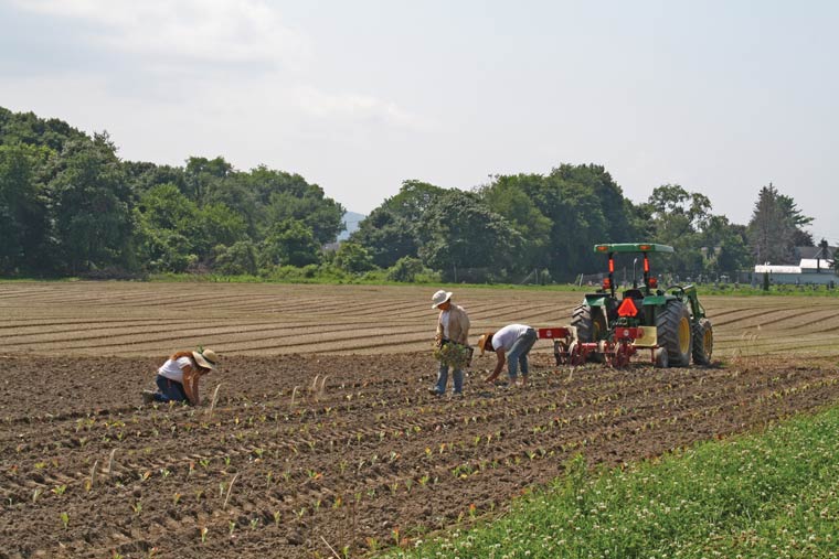 Copake Agricultural Center