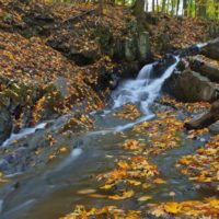 Falling Waters Preserve