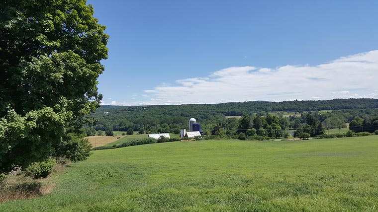 Farm at Miller's Crossing