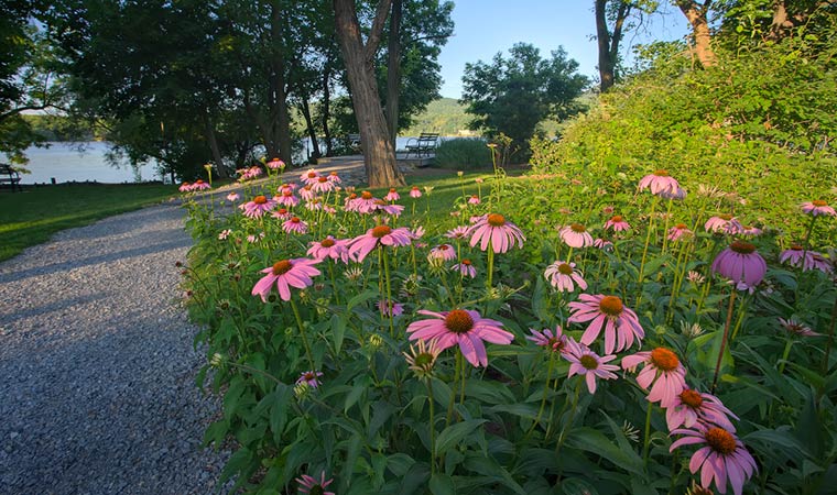 foundry-dock-park-flowers-rrjr_760